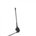 7mm Aperture 14cm Mast Lenght Universal Car Antenna AM/FM Type