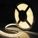 5M Flexible 3528 LED Strip Light Neon Tape Waterproof Warm White 12V for Car Home Decoration