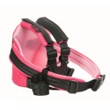 Motorcycle Scooter Children Protective Adjustable Safety Belt Back Seat Strap Gear