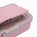 5 Grids Microwave Heating Lunch Box Bento Box Food Fruit Storage Container Refrigerator Fresh Box Pink/Blue